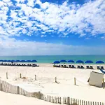 Pelican Walk 307