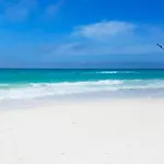 Laguna Beach Breeze