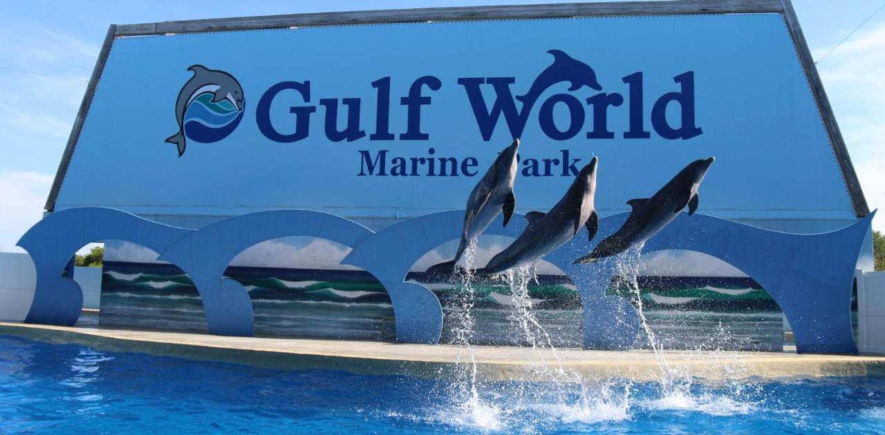 Apartment Gulf Highlands 109, 2 Bedrooms, Heated Pool Access, Wifi, Sleeps 6