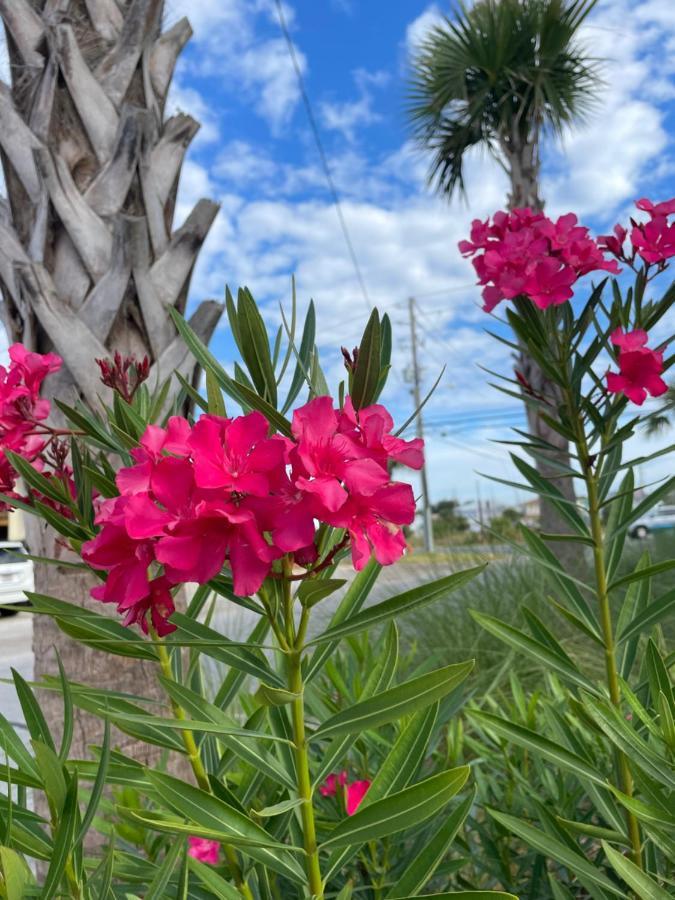 Holiday home House 3 Blocks To The Panama City Beach