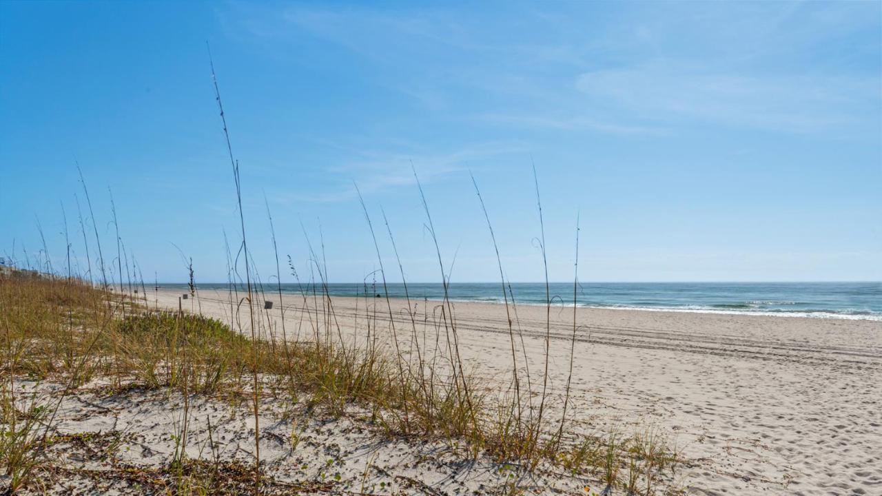 Sandy Teauxs * Panama City Beach