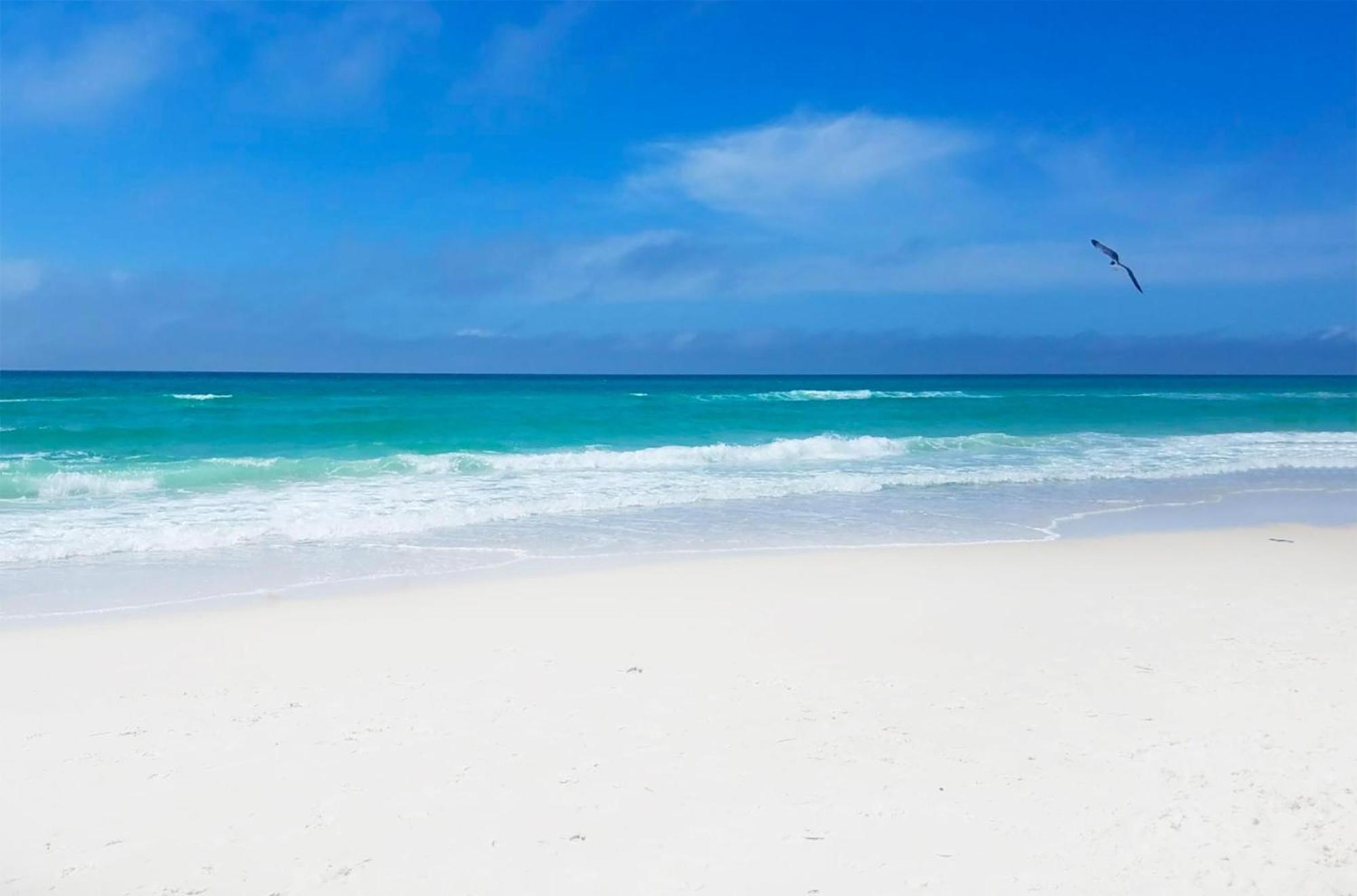 Laguna Breeze