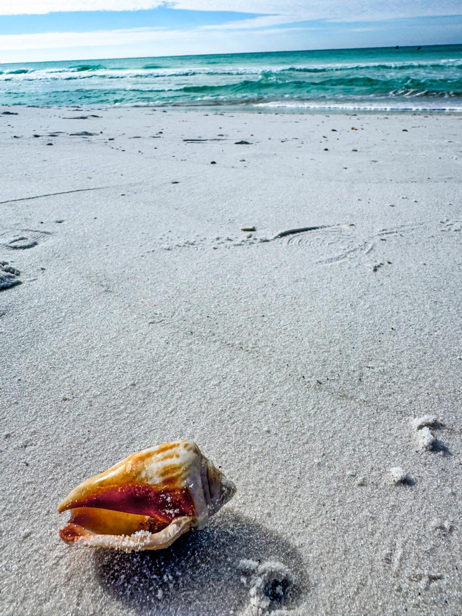 Blue Neptune At 5313 Sunset Avenue By Nautical Vacation Holiday home Panama City Beach
