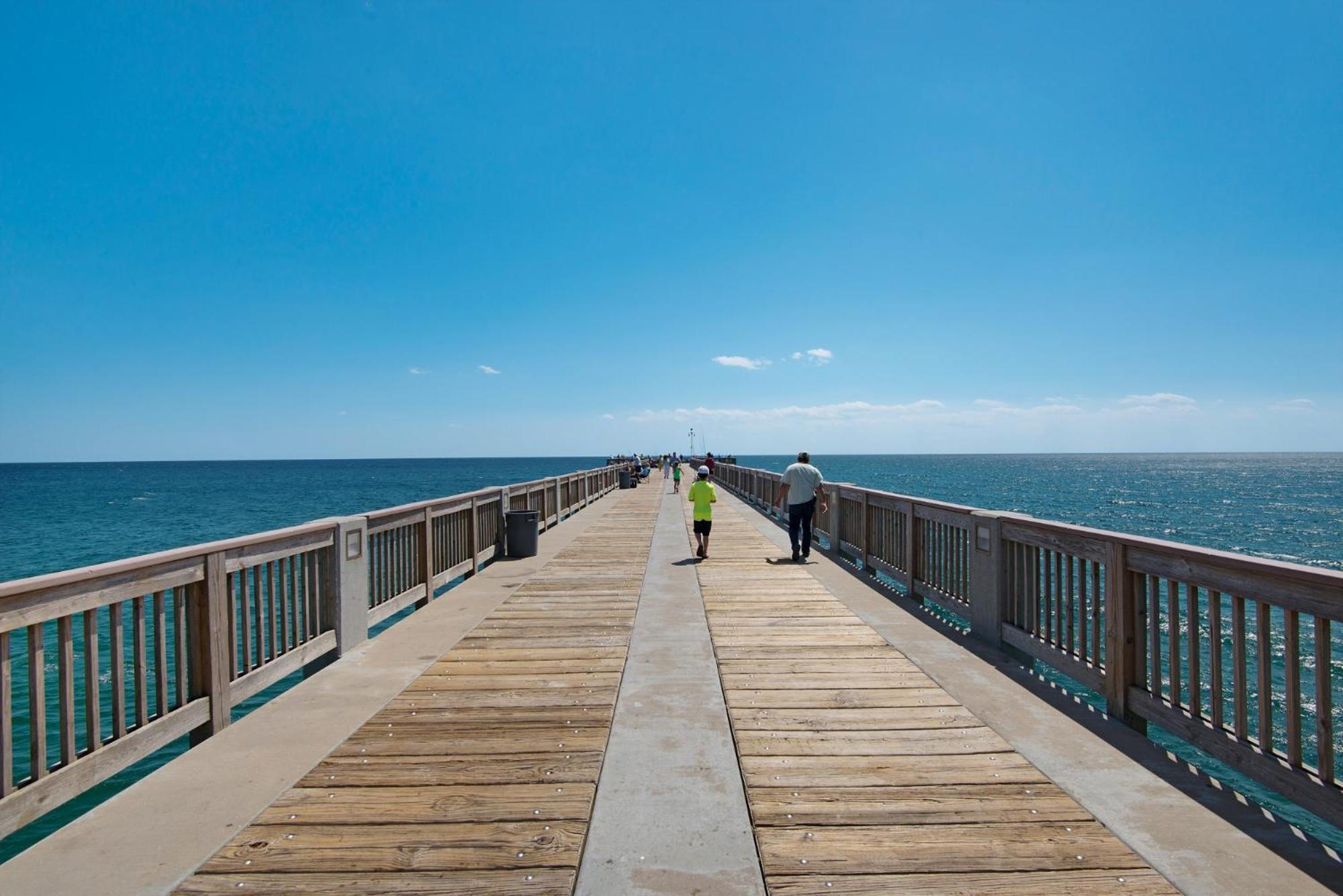 219 Palmetto Pl 2 - Sea Shore Holiday home