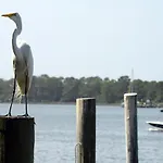 Summit 913, 1 Bedroom, Sleeps 6, Beachfront, Wi-Fi, Pool