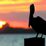 Sunrise Beach 1001