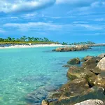 Seashell Cove