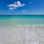 Pelican Walk 801