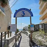 The Sand Dollar A