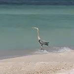 Vivid Seabreeze