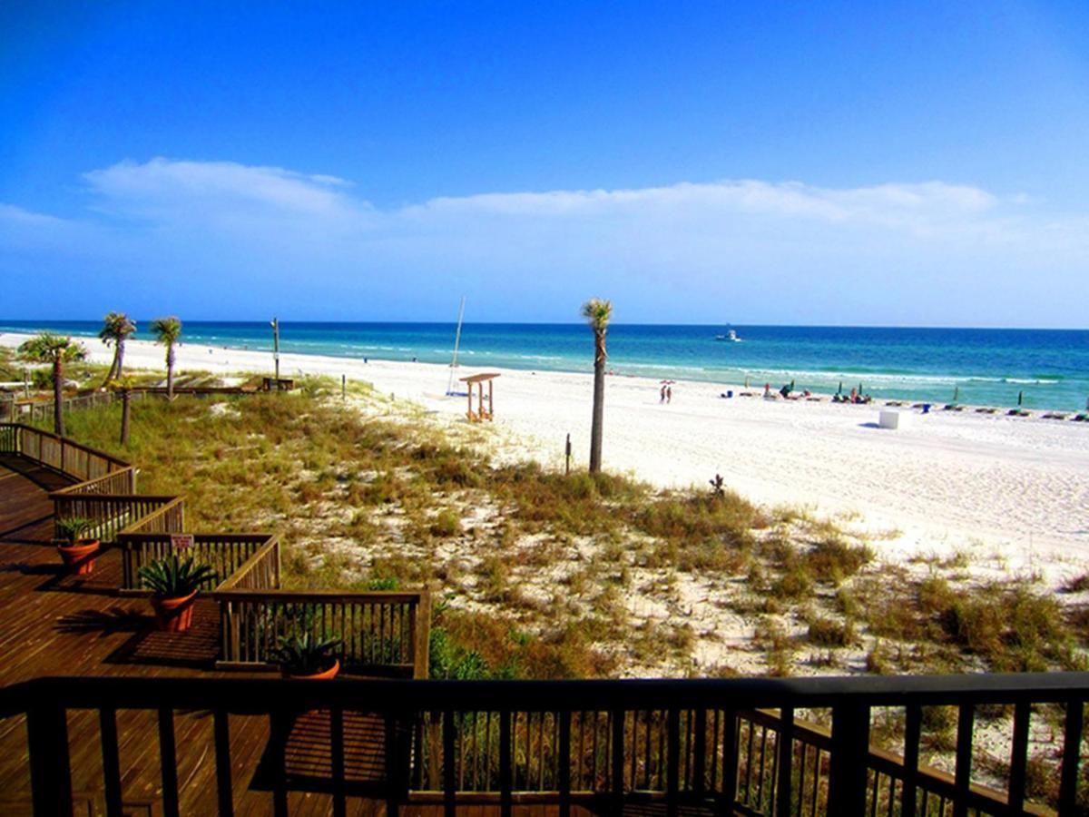 Sunbird 0208e 'dolphin Watch' * Panama City Beach