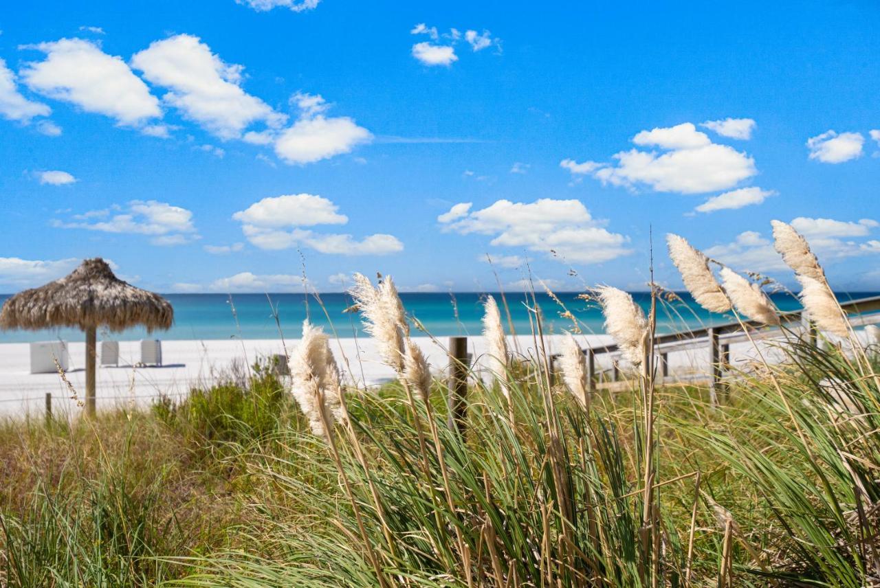 Spectacular 3bd Beachfront Condo! Spacious! By Dolce Getaways Pcb Apartment *