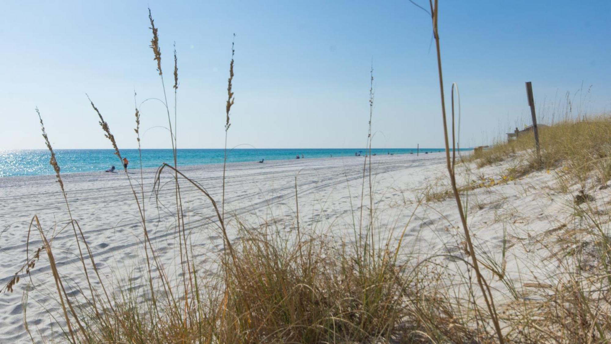 Holiday home 219 Palmetto Pl 1 - Tropical Paradise Panama City Beach