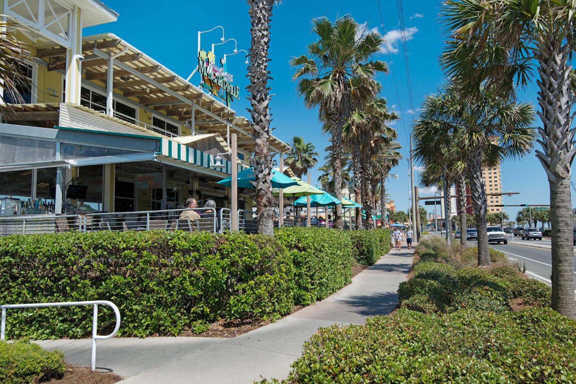 219 Palmetto Pl 1 - Tropical Paradise