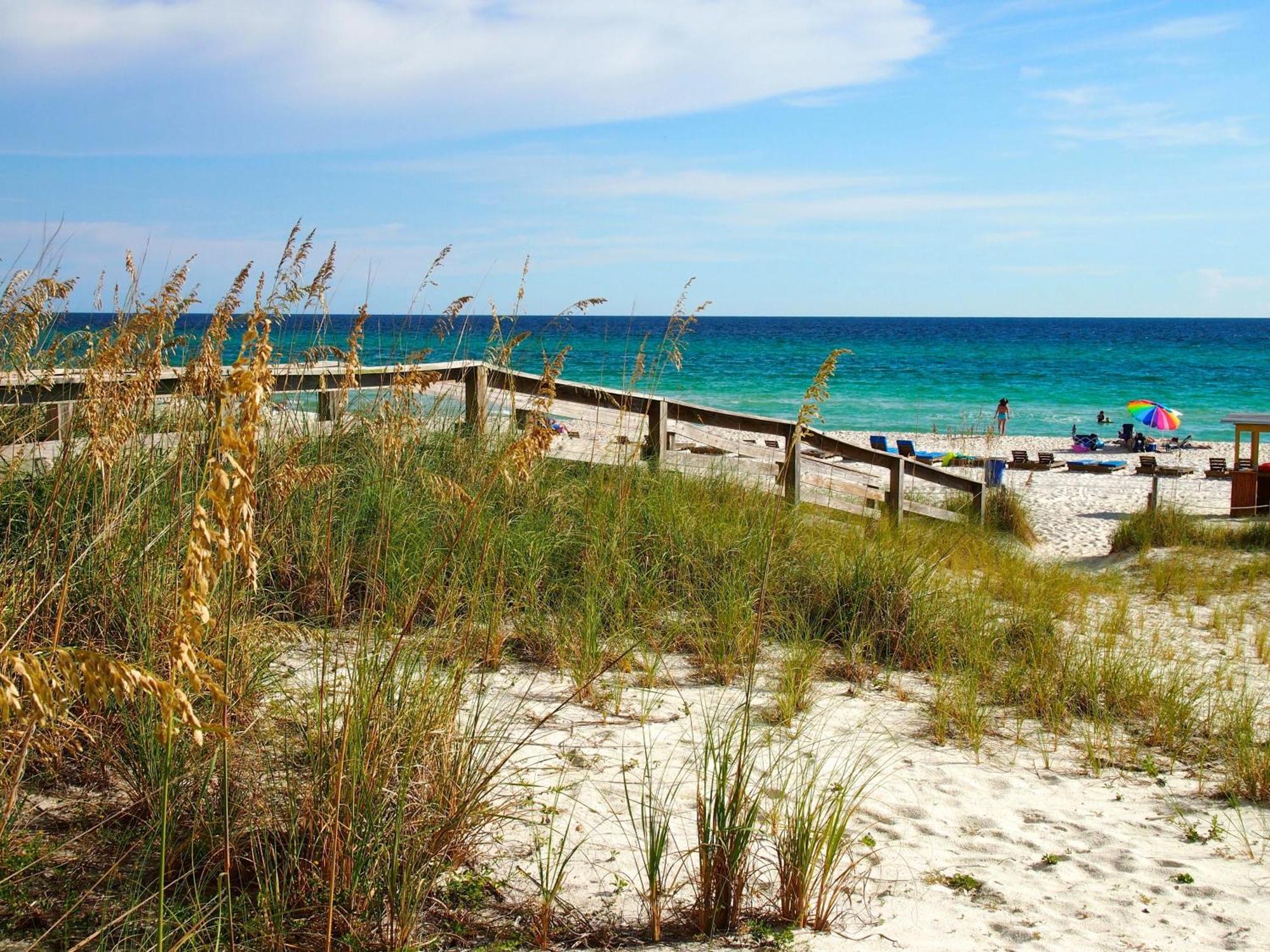 Ocean Reef 606 *