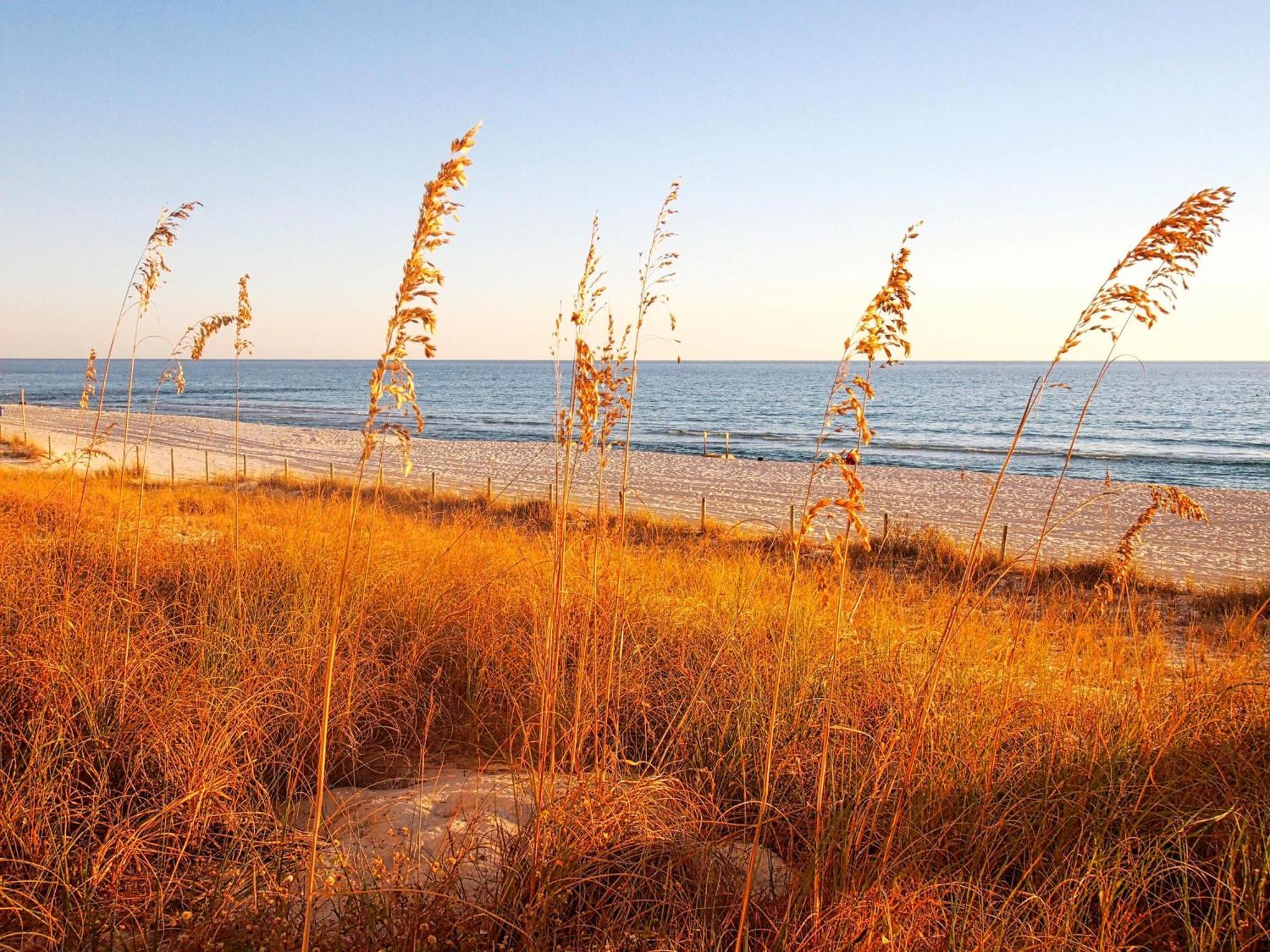 Ocean Reef 1505 * Panama City Beach
