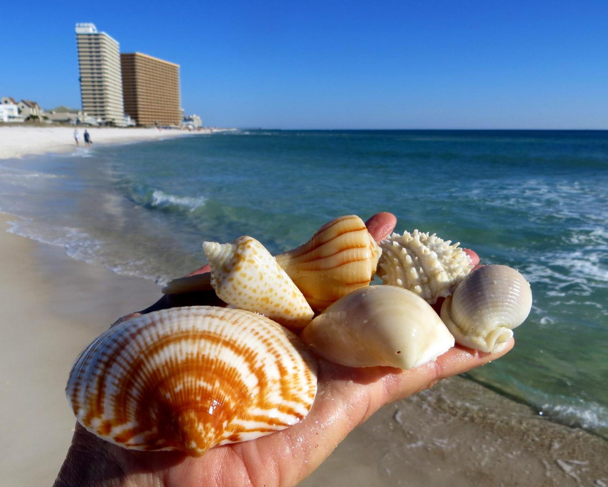 Holiday home Bliss Awaits! - Beach, Pools, Tiki-deck, Arcade, Putting Green, Family Fun!