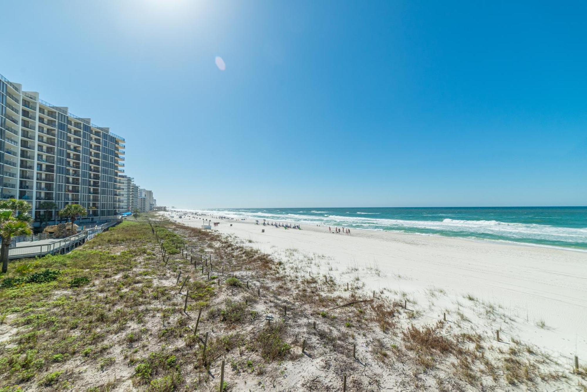Edgewater L200 'wish Upon A Starfish' *