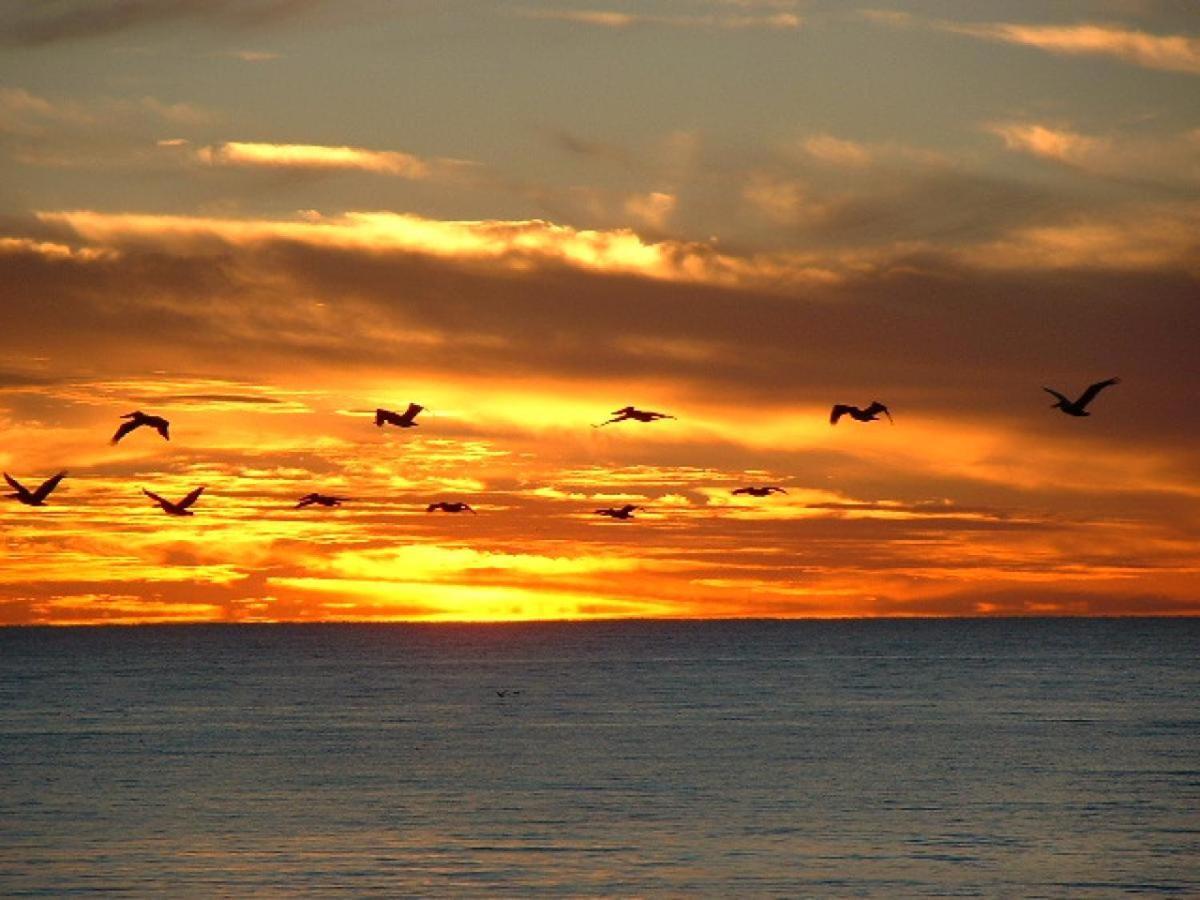 Holiday home Gulf Highlands-sunset On The Gulf Panama City Beach