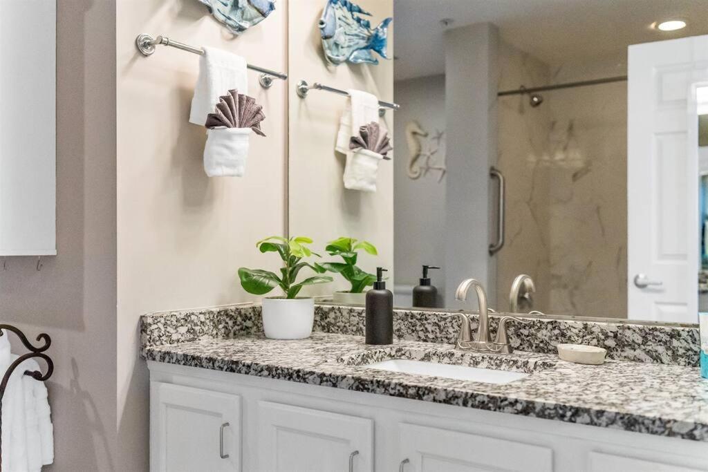 Apartment Coral Charm