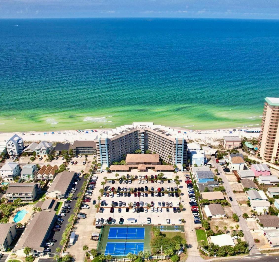 Pelican Walk 804