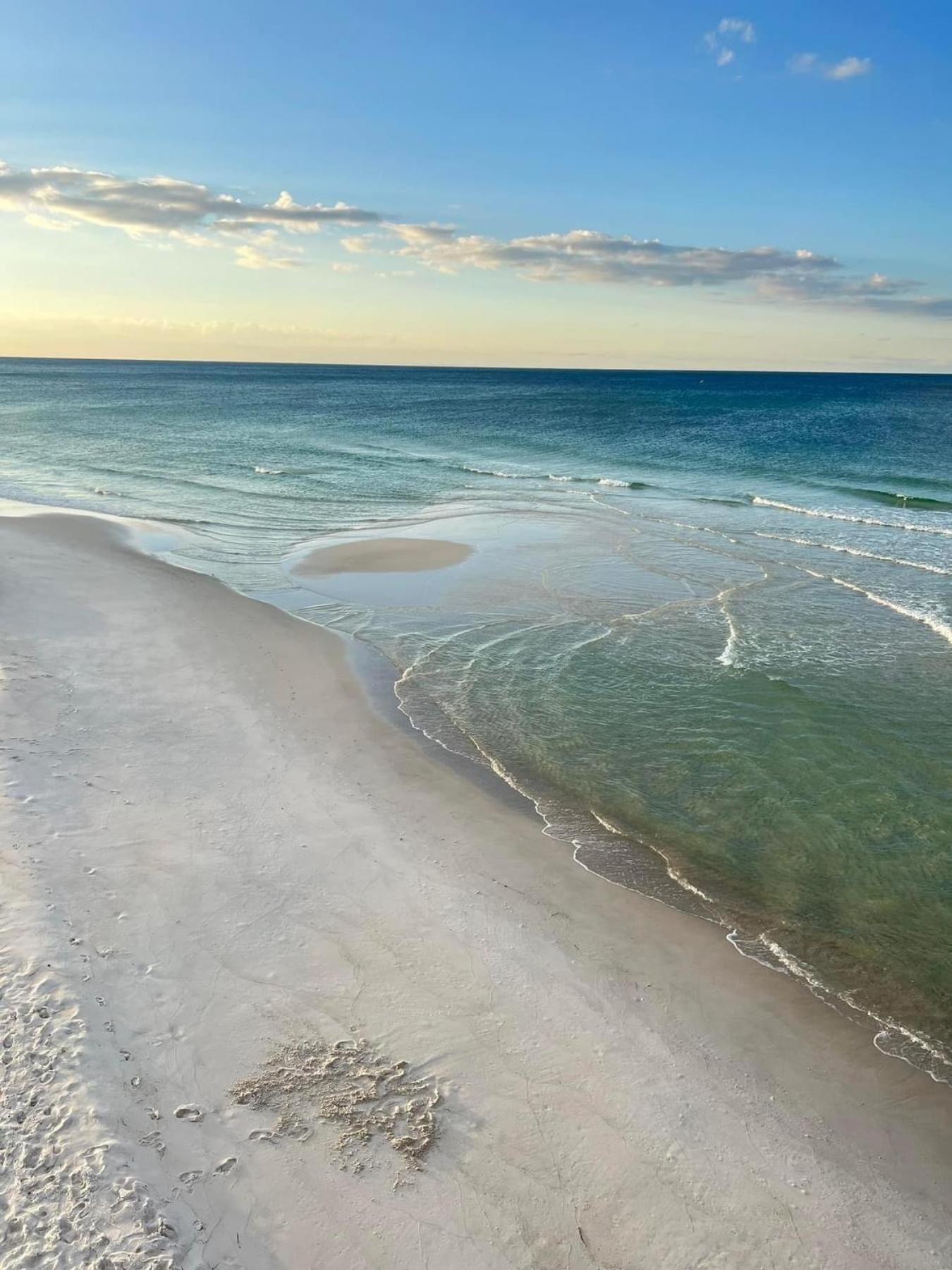 Majestic Blue Dolphin * Panama City Beach