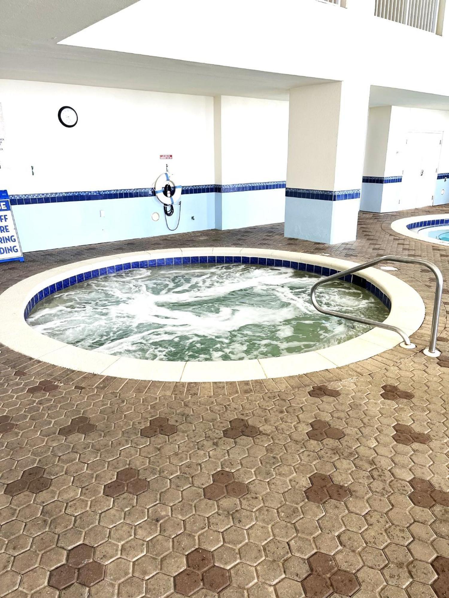 Apartment Majestic Blue Dolphin
