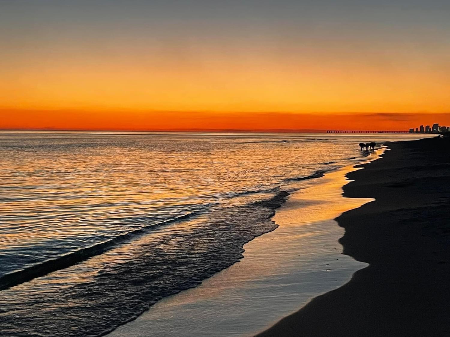 1113 Ltw Apartment Panama City Beach