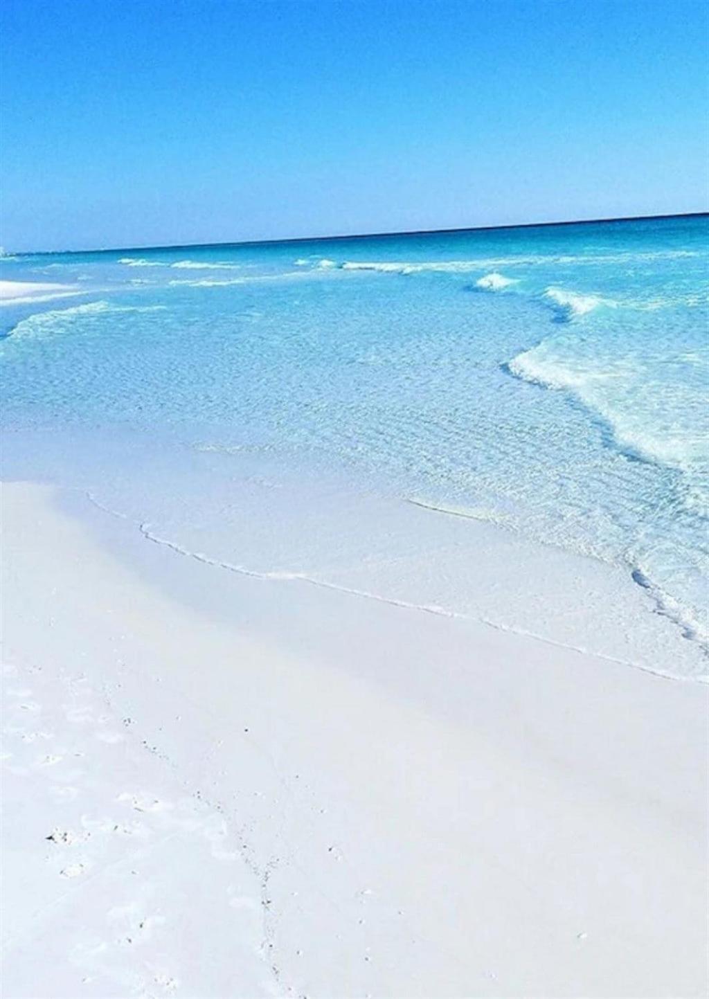 Grandview East 505 * Panama City Beach