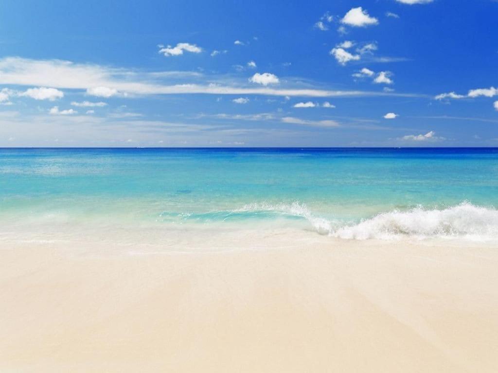 Apartment Edgewater Leeward 101