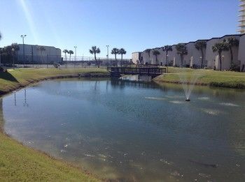 Sugar A6 Panama City Beach