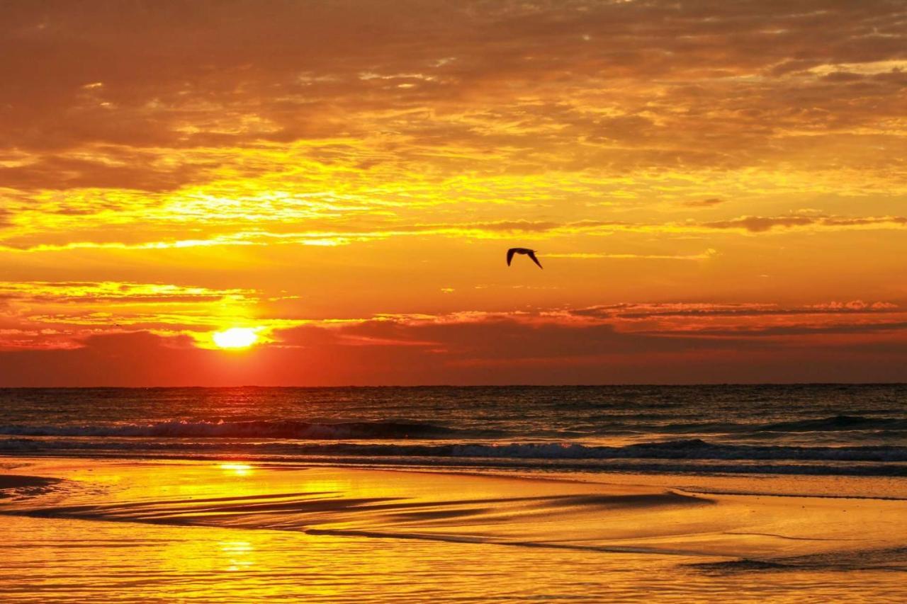 1701 Ocean Reef *