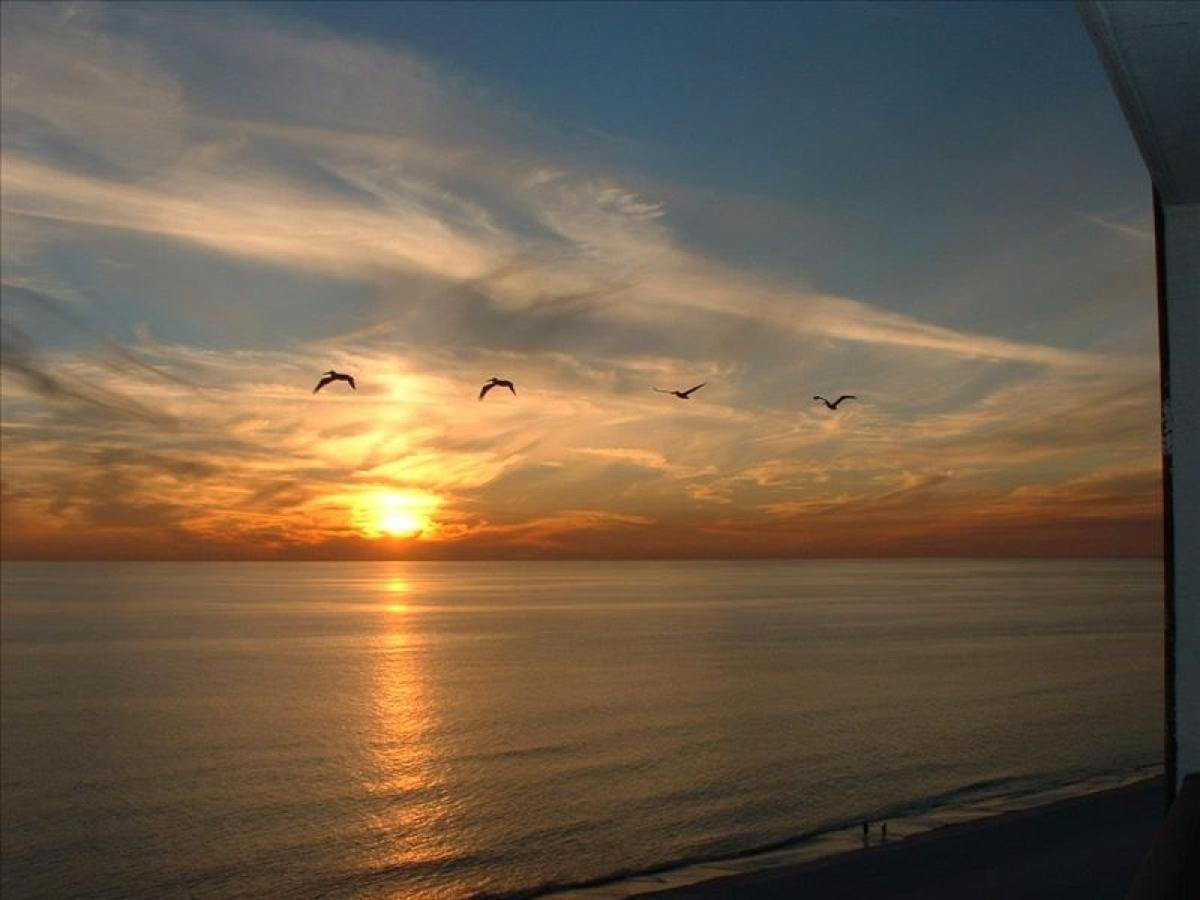 Boardwalk 2111 'seaside Memories' * Panama City Beach