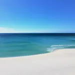 Pelican Walk 806
