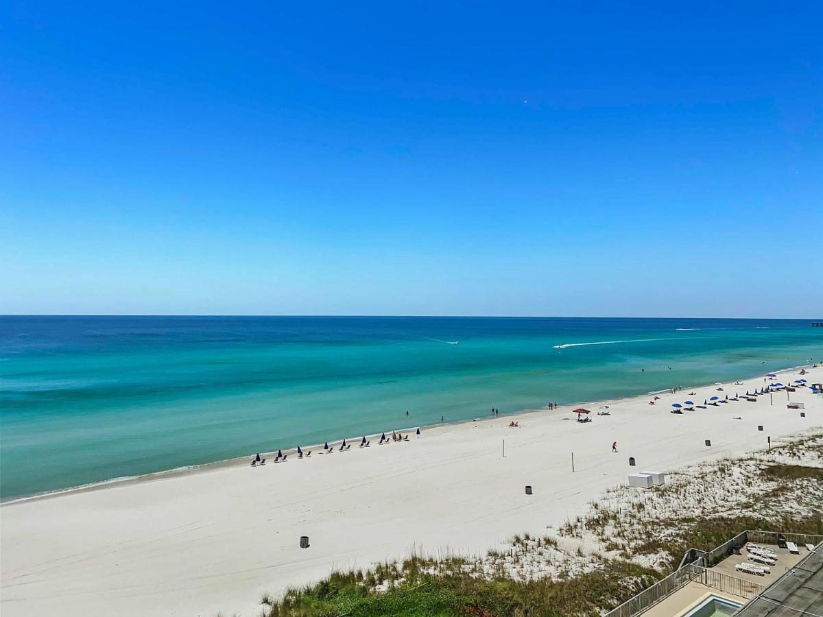 Sea-horsey Panama City Beach