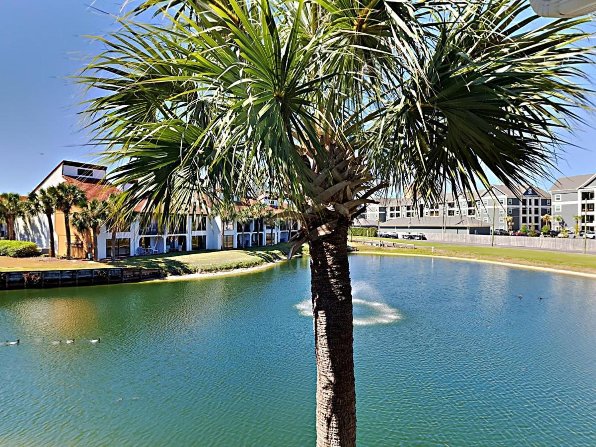 Apartment Edgewater 2112