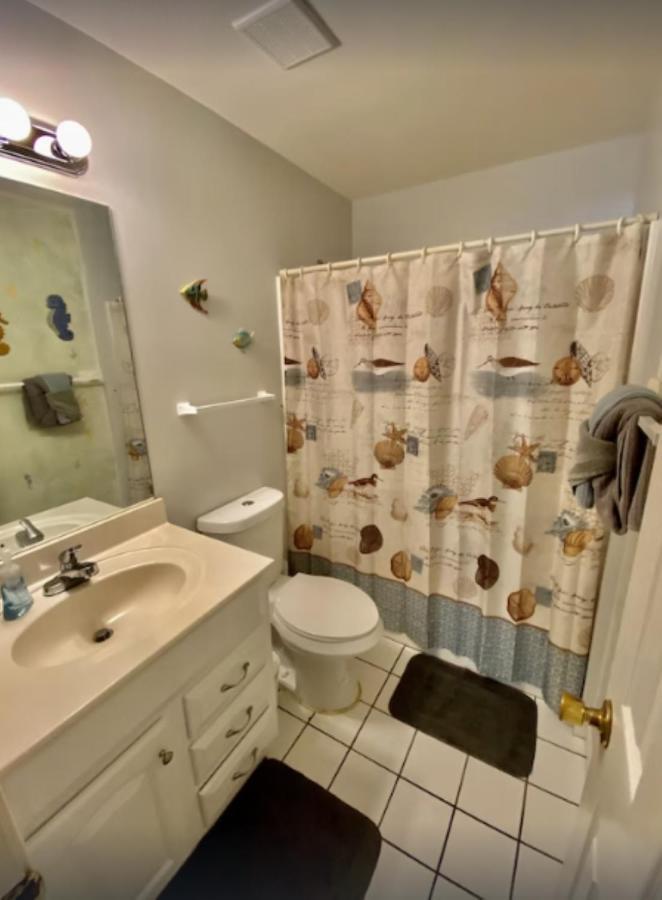 Dolphin House With Private Pool And Near *