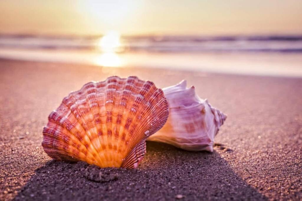 Seas The Day: Luxury With Private Pool And Complimentary Amenities
