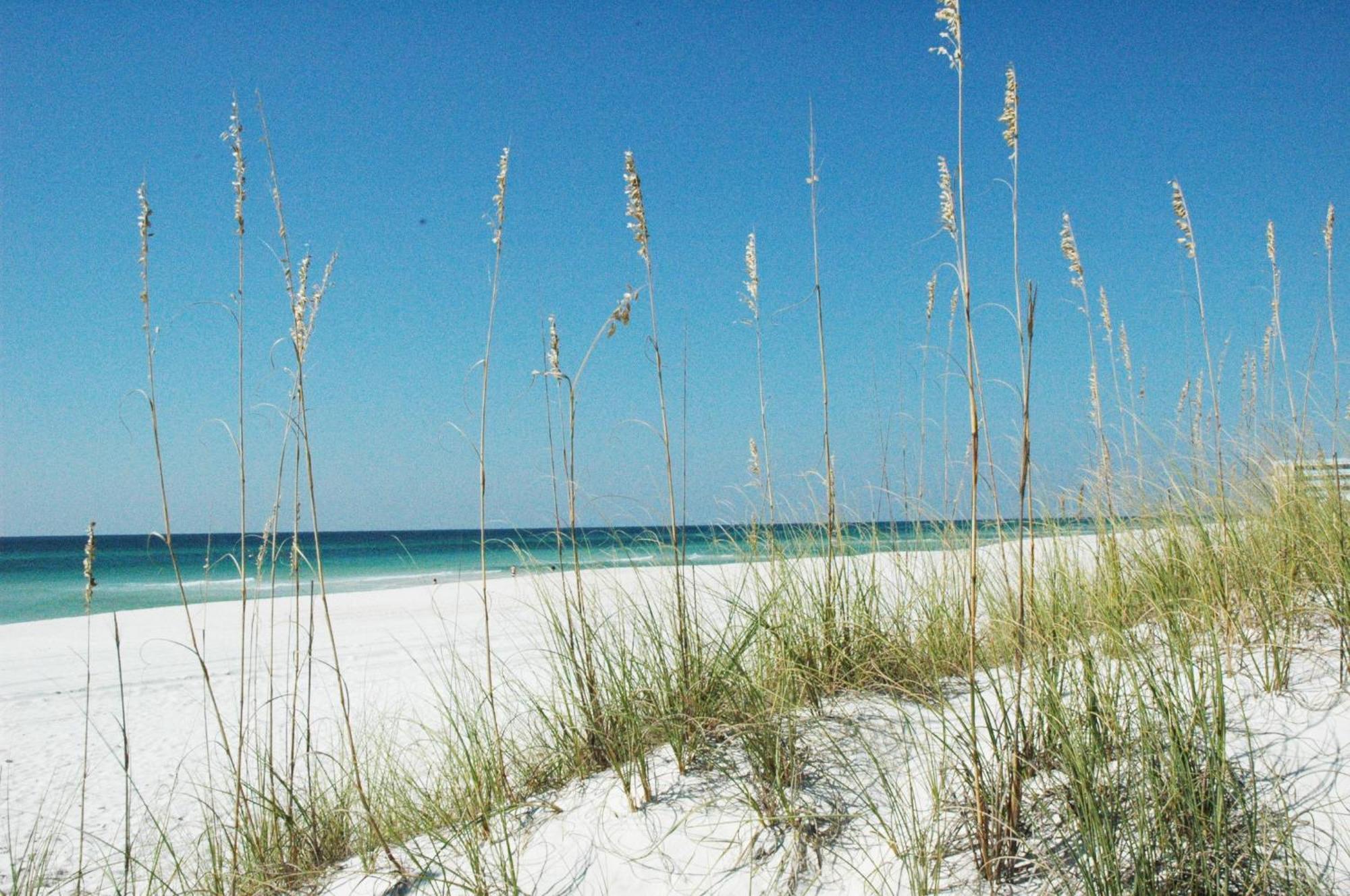 Sunbird 0908w 'captain's Cove' Panama City Beach