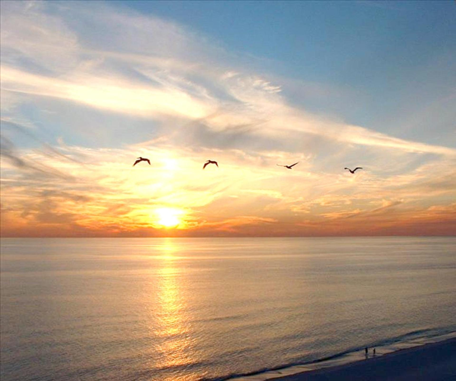 Boardwalk 0810 'endless Summer'