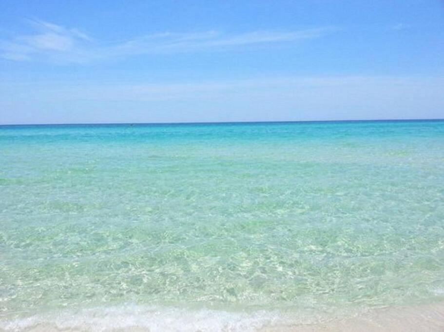 Apartment 2007 Calypso East 1 Bedroom Panama City Beach