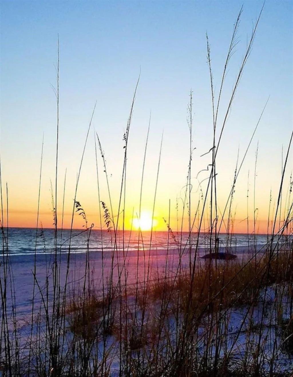 Roost Front 7 Bedroom Sleeps 20 Panama City Beach