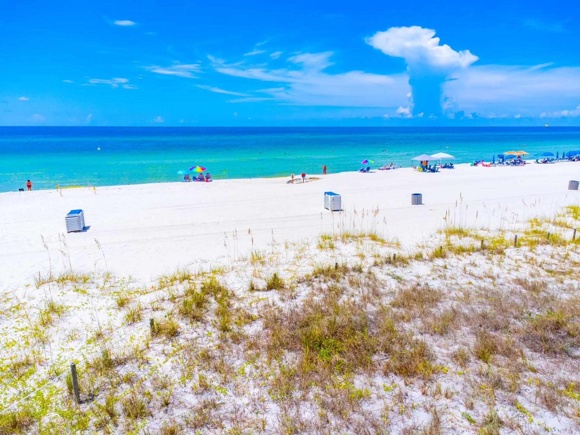 Sea Forever At Ocean Reef *