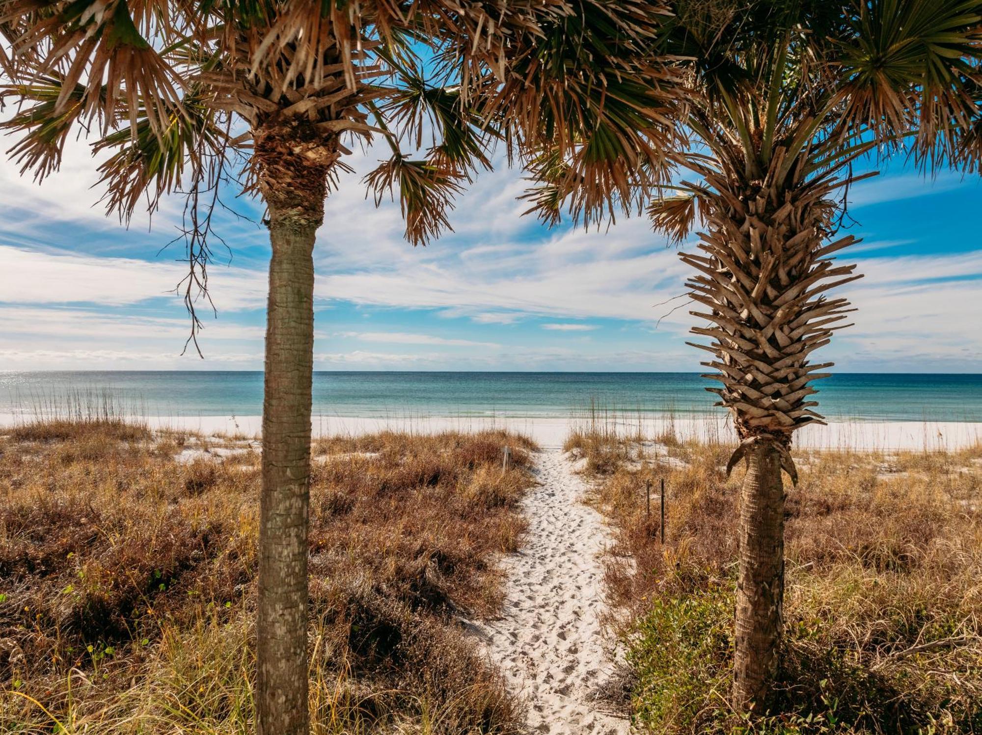 Put Some Vitamin Sea In Your Vacation! Gulf Front Town - Quiet West End *