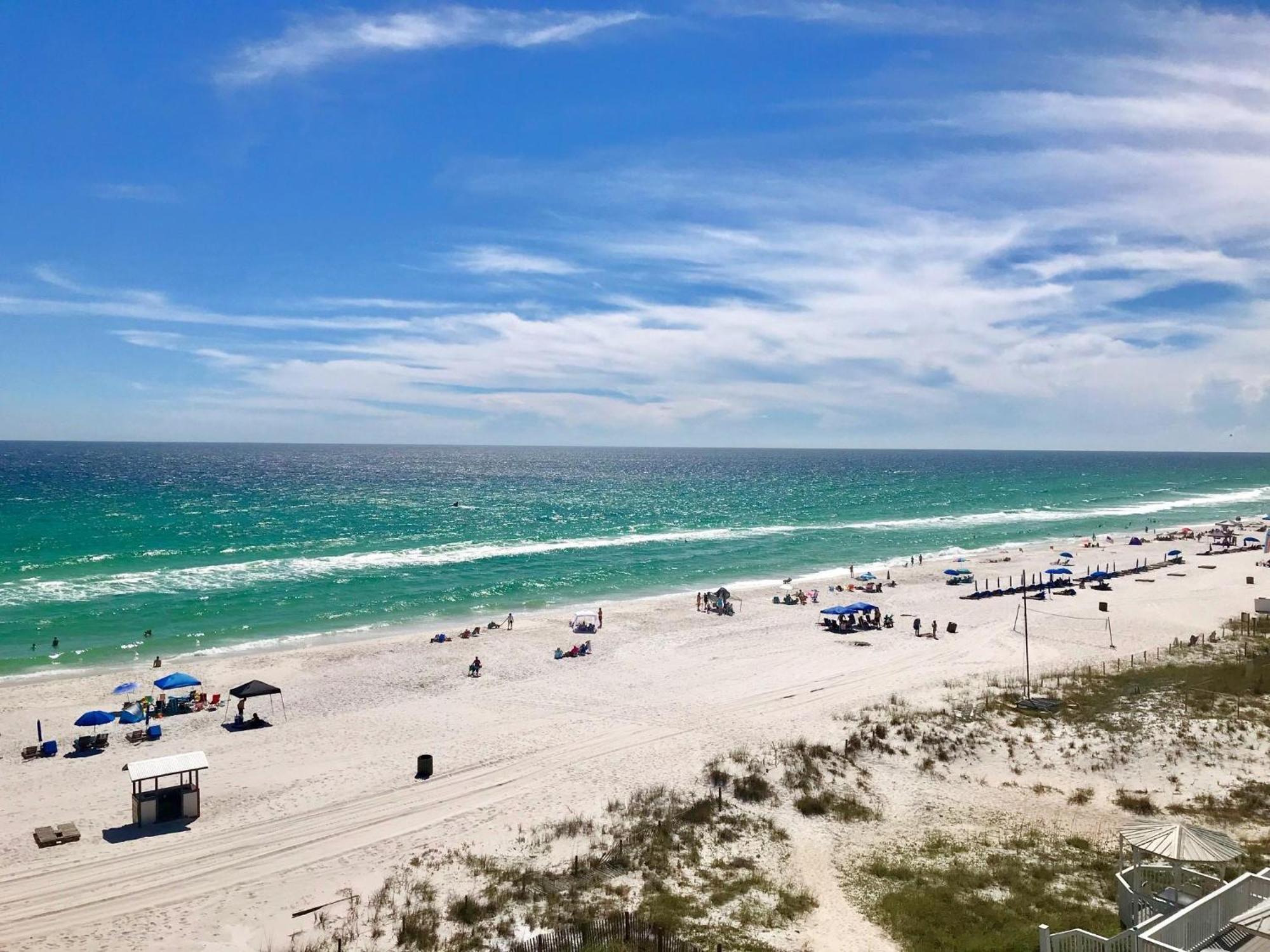 Pelican Walk 609
