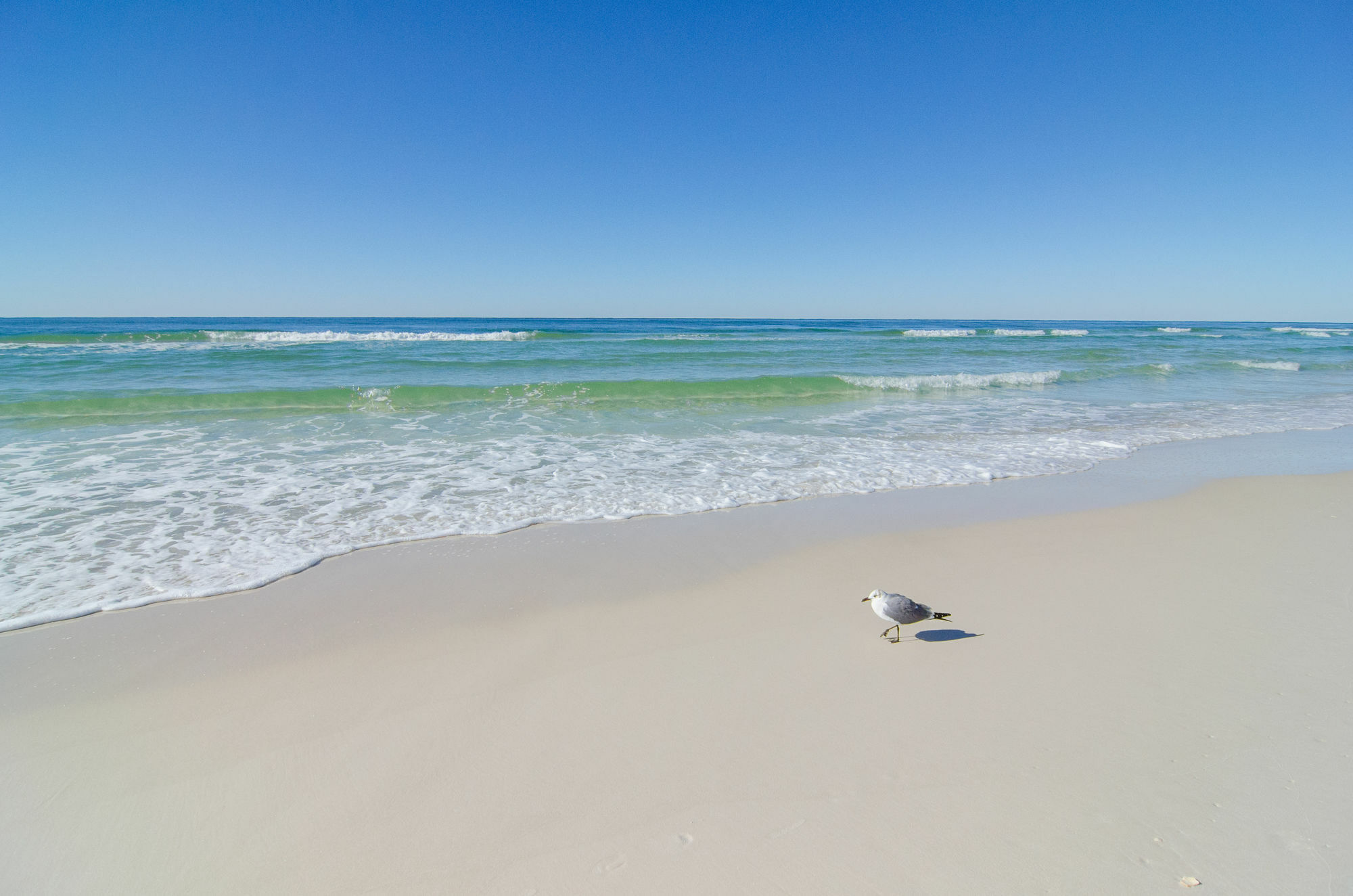 Sunswept By Panhandle Getaways Holiday home